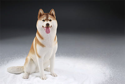 A collection of 1/6 scale Siberian Husky resin models, showcasing eight lifelike figurines with detailed fur textures and expressive faces, each in various poses and coat colors. The models include a range of colors from black and white to brown and grey, all set against a neutral backdrop.