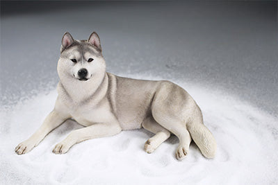 A collection of 1/6 scale Siberian Husky resin models, showcasing eight lifelike figurines with detailed fur textures and expressive faces, each in various poses and coat colors. The models include a range of colors from black and white to brown and grey, all set against a neutral backdrop.