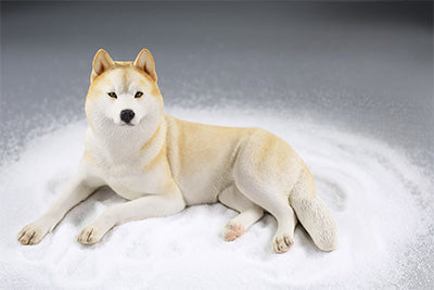 A collection of 1/6 scale Siberian Husky resin models, showcasing eight lifelike figurines with detailed fur textures and expressive faces, each in various poses and coat colors. The models include a range of colors from black and white to brown and grey, all set against a neutral backdrop.