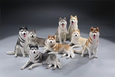 A collection of 1/6 scale Siberian Husky resin models, showcasing eight lifelike figurines with detailed fur textures and expressive faces, each in various poses and coat colors. The models include a range of colors from black and white to brown and grey, all set against a neutral backdrop.
