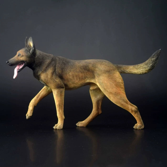 Realistic 1/6 scale resin model of a Belgian Malinois dog, showcasing detailed fur textures and lifelike coloring. The model features three different coat colors—black, dark brown, and light brown—highlighting the breed's characteristic features such as its muscular build and expressive face. Perfect for collectors and dog enthusiasts.