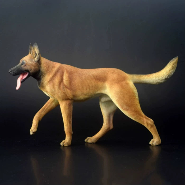 Realistic 1/6 scale resin model of a Belgian Malinois dog, showcasing detailed fur textures and lifelike coloring. The model features three different coat colors—black, dark brown, and light brown—highlighting the breed's characteristic features such as its muscular build and expressive face. Perfect for collectors and dog enthusiasts.