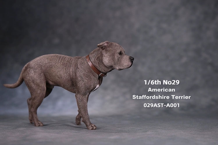 1/6 scale American Staffordshire Terrier model in various poses and colors. These detailed and realistic figurines capture the essence of the breed, perfect for collectors and enthusiasts of dog statues. Ideal for display in homes or offices.