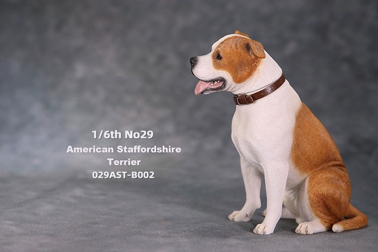 1/6 scale American Staffordshire Terrier model in various poses and colors. These detailed and realistic figurines capture the essence of the breed, perfect for collectors and enthusiasts of dog statues. Ideal for display in homes or offices.
