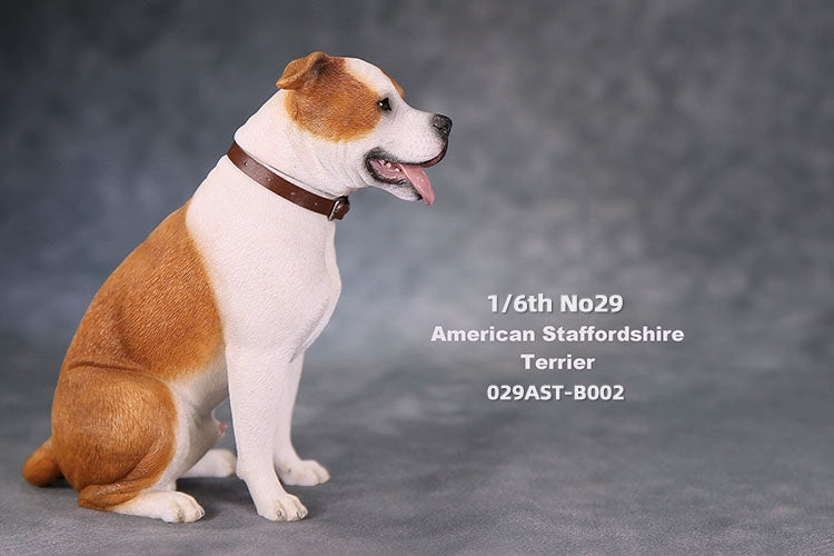 1/6 scale American Staffordshire Terrier model in various poses and colors. These detailed and realistic figurines capture the essence of the breed, perfect for collectors and enthusiasts of dog statues. Ideal for display in homes or offices.