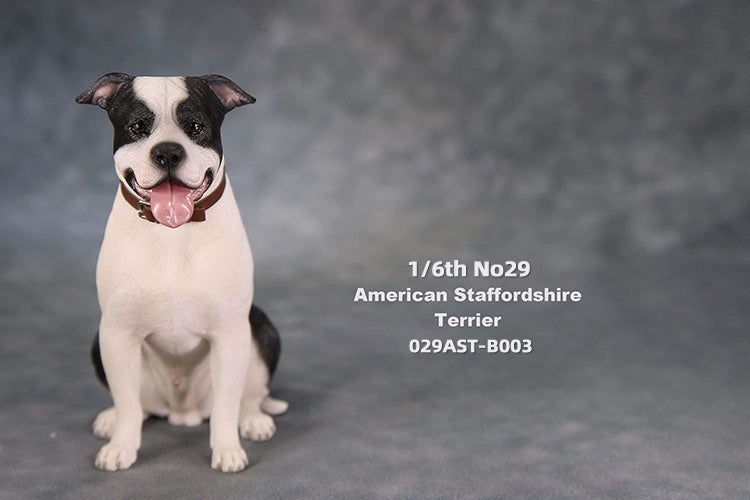 1/6 scale American Staffordshire Terrier model in various poses and colors. These detailed and realistic figurines capture the essence of the breed, perfect for collectors and enthusiasts of dog statues. Ideal for display in homes or offices.
