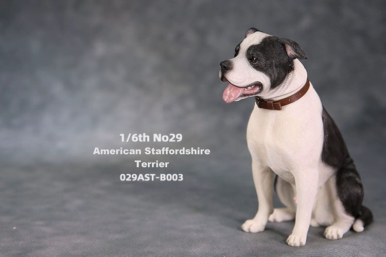 1/6 scale American Staffordshire Terrier model in various poses and colors. These detailed and realistic figurines capture the essence of the breed, perfect for collectors and enthusiasts of dog statues. Ideal for display in homes or offices.