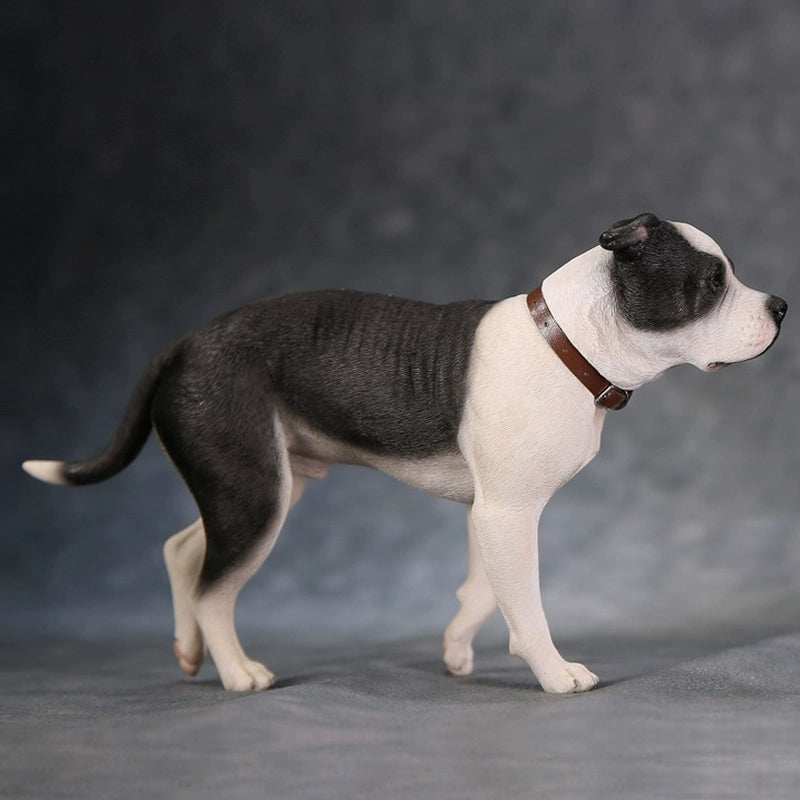 "1/6 scale American Staffordshire Terrier model in various poses and colors. These detailed and realistic figurines capture the essence of the breed, perfect for collectors and enthusiasts of dog statues. Ideal for display in homes or offices."