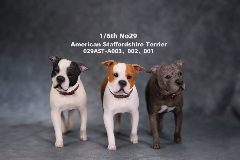 1/6 scale American Staffordshire Terrier model in various poses and colors. These detailed and realistic figurines capture the essence of the breed, perfect for collectors and enthusiasts of dog statues. Ideal for display in homes or offices.