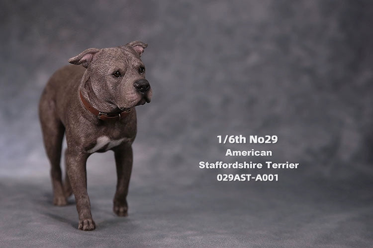 1/6 scale American Staffordshire Terrier model in various poses and colors. These detailed and realistic figurines capture the essence of the breed, perfect for collectors and enthusiasts of dog statues. Ideal for display in homes or offices.