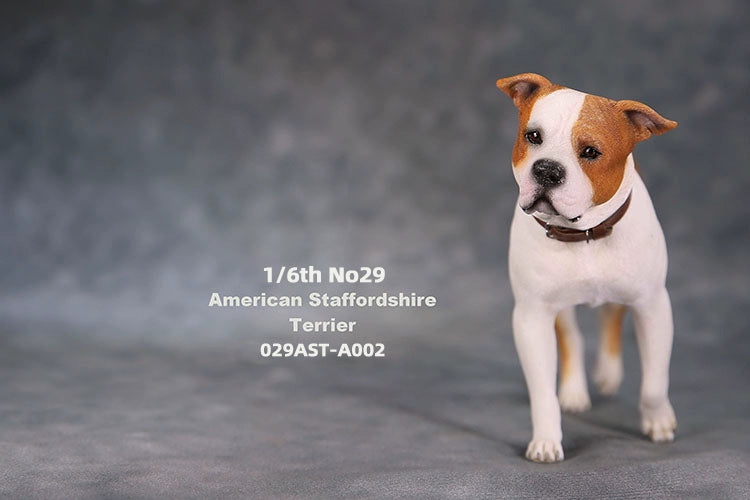 1/6 scale American Staffordshire Terrier model in various poses and colors. These detailed and realistic figurines capture the essence of the breed, perfect for collectors and enthusiasts of dog statues. Ideal for display in homes or offices.