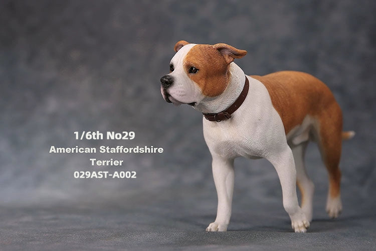 1/6 scale American Staffordshire Terrier model in various poses and colors. These detailed and realistic figurines capture the essence of the breed, perfect for collectors and enthusiasts of dog statues. Ideal for display in homes or offices.