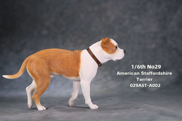 1/6 scale American Staffordshire Terrier model in various poses and colors. These detailed and realistic figurines capture the essence of the breed, perfect for collectors and enthusiasts of dog statues. Ideal for display in homes or offices.