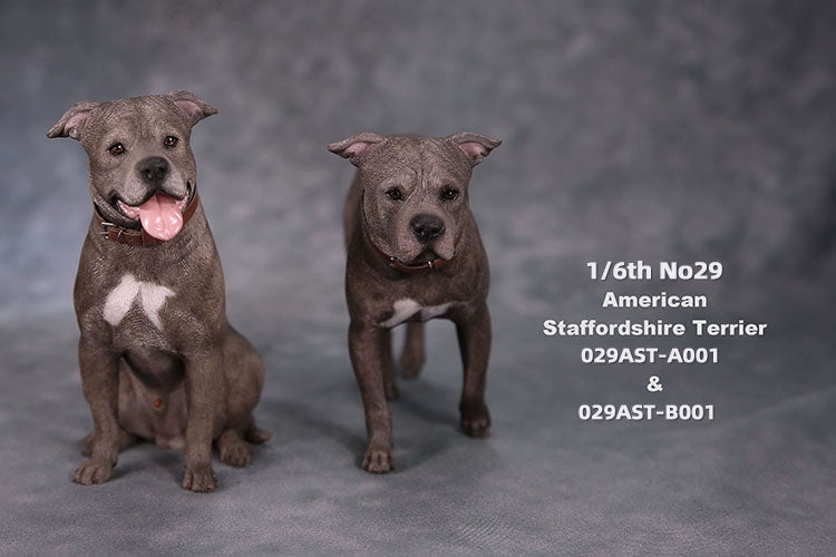 1/6 scale American Staffordshire Terrier model in various poses and colors. These detailed and realistic figurines capture the essence of the breed, perfect for collectors and enthusiasts of dog statues. Ideal for display in homes or offices.