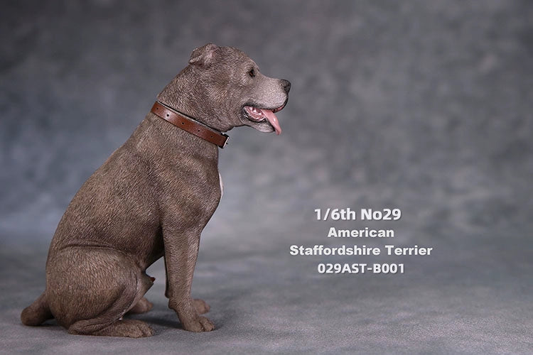1/6 scale American Staffordshire Terrier model in various poses and colors. These detailed and realistic figurines capture the essence of the breed, perfect for collectors and enthusiasts of dog statues. Ideal for display in homes or offices.