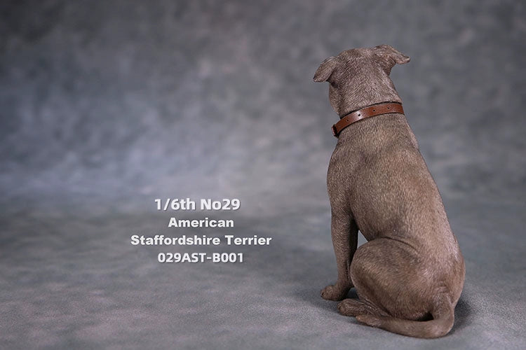 1/6 scale American Staffordshire Terrier model in various poses and colors. These detailed and realistic figurines capture the essence of the breed, perfect for collectors and enthusiasts of dog statues. Ideal for display in homes or offices.