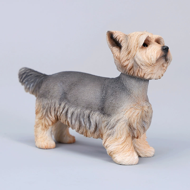 Two highly detailed 1/6 scale Yorkshire dog models dressed in stylish plaid coats. These realistic figurines capture the charming appearance of Yorkshire Terriers, making them perfect for collectors and dog lovers.