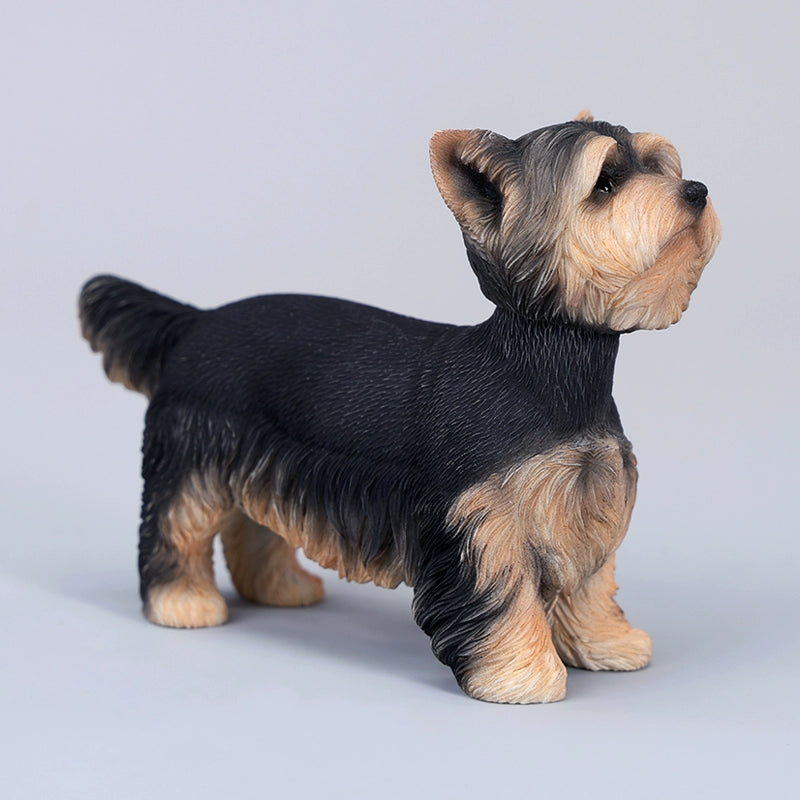 Two highly detailed 1/6 scale Yorkshire dog models dressed in stylish plaid coats. These realistic figurines capture the charming appearance of Yorkshire Terriers, making them perfect for collectors and dog lovers.