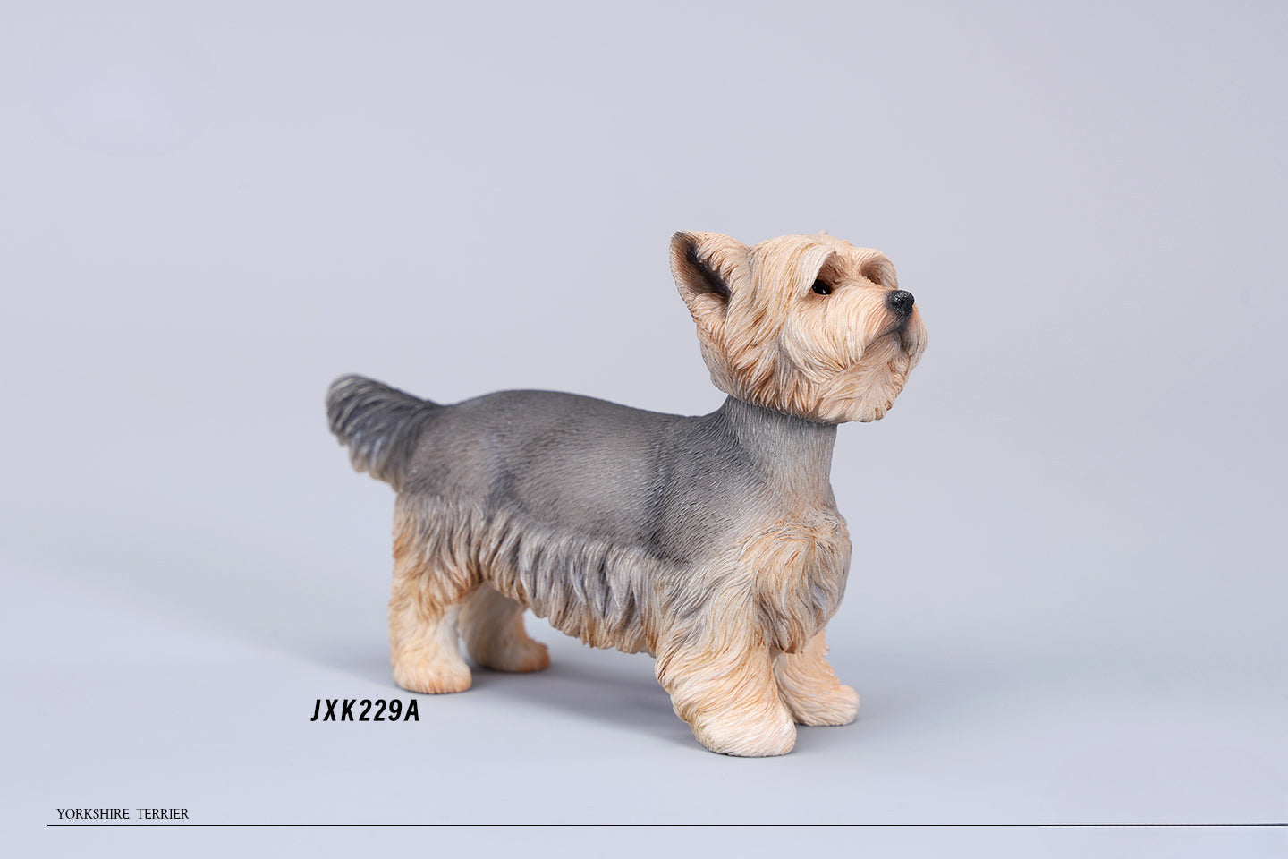 Two highly detailed 1/6 scale Yorkshire dog models dressed in stylish plaid coats. These realistic figurines capture the charming appearance of Yorkshire Terriers, making them perfect for collectors and dog lovers.