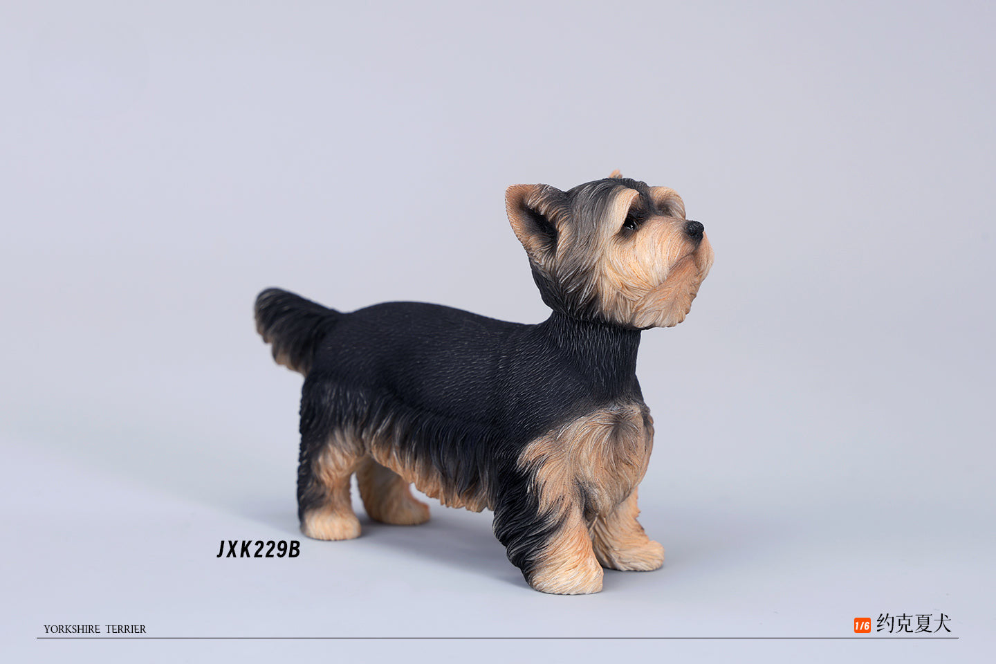 Two highly detailed 1/6 scale Yorkshire dog models dressed in stylish plaid coats. These realistic figurines capture the charming appearance of Yorkshire Terriers, making them perfect for collectors and dog lovers.