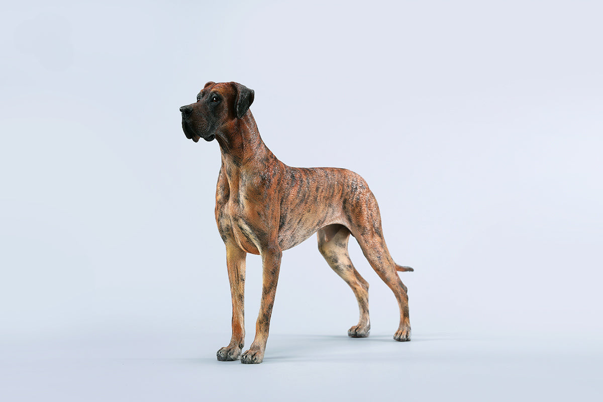 pre sale 1/6 Great Dane Model - Majestic Dog Figurine Collection.