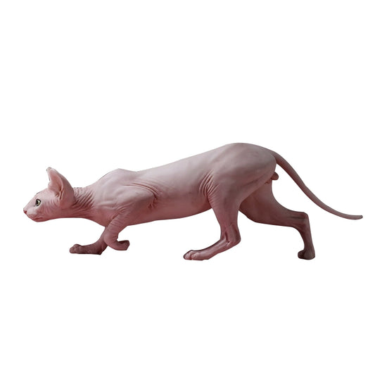 1/6 scale Canadian Hairless (Sphynx) Cat resin models, showcasing a lifelike representation of the distinctive hairless breed. These detailed figurines capture the Sphynx cat's expressive eyes, wrinkled skin, and unique features. Available in various colors, these models are perfect for collectors and cat enthusiasts.