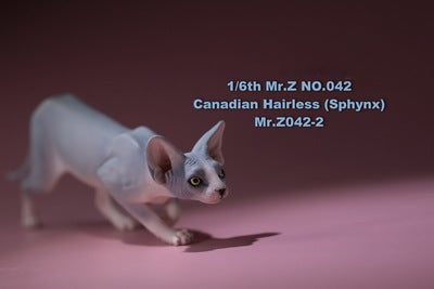 1/6 scale Canadian Hairless (Sphynx) Cat resin models, showcasing a lifelike representation of the distinctive hairless breed. These detailed figurines capture the Sphynx cat's expressive eyes, wrinkled skin, and unique features. Available in various colors, these models are perfect for collectors and cat enthusiasts.