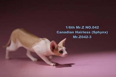 1/6 scale Canadian Hairless (Sphynx) Cat resin models, showcasing a lifelike representation of the distinctive hairless breed. These detailed figurines capture the Sphynx cat's expressive eyes, wrinkled skin, and unique features. Available in various colors, these models are perfect for collectors and cat enthusiasts.