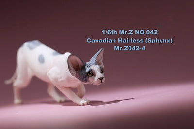 1/6 scale Canadian Hairless (Sphynx) Cat resin models, showcasing a lifelike representation of the distinctive hairless breed. These detailed figurines capture the Sphynx cat's expressive eyes, wrinkled skin, and unique features. Available in various colors, these models are perfect for collectors and cat enthusiasts.