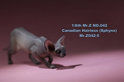 1/6 scale Canadian Hairless (Sphynx) Cat resin models, showcasing a lifelike representation of the distinctive hairless breed. These detailed figurines capture the Sphynx cat's expressive eyes, wrinkled skin, and unique features. Available in various colors, these models are perfect for collectors and cat enthusiasts.