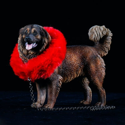 "A lineup of 1/6 scale Caucasian Shepherd Dog resin models in various coat colors, each wearing a distinctive red mane. The models are posed standing, highlighting the breed's robust build and thick fur, set against a black background."