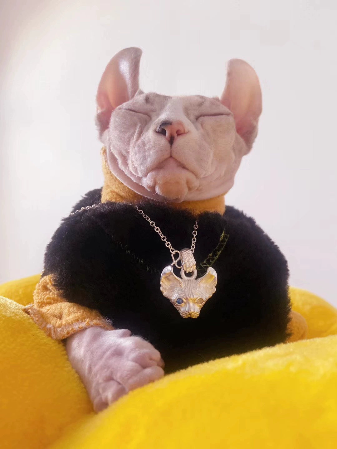 A handcrafted Sphynx cat pendant and ring set in 925 sterling silver, featuring customizable gemstone eyes and available in both silver and antique black finishes. This unique jewelry piece is perfect for Sphynx cat lovers and as a personalized pet memorial.