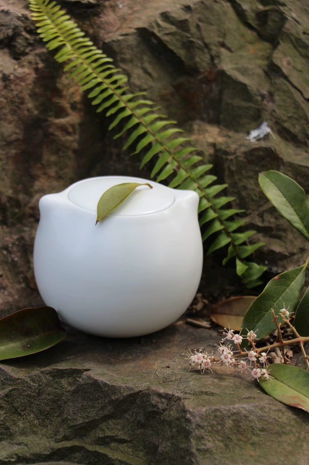 The Good Night Pet Memorial Set (Dog) includes a white ceramic pet urn with a silicone-sealed lid, dog shrine, bone candle set, and hair storage box, measuring 15cm tall and 10cm wide, holding 200ml for pets up to 25 pounds. Ideal for North American dog owners, it offers a warm, handcrafted memorial display for shelves or tables.