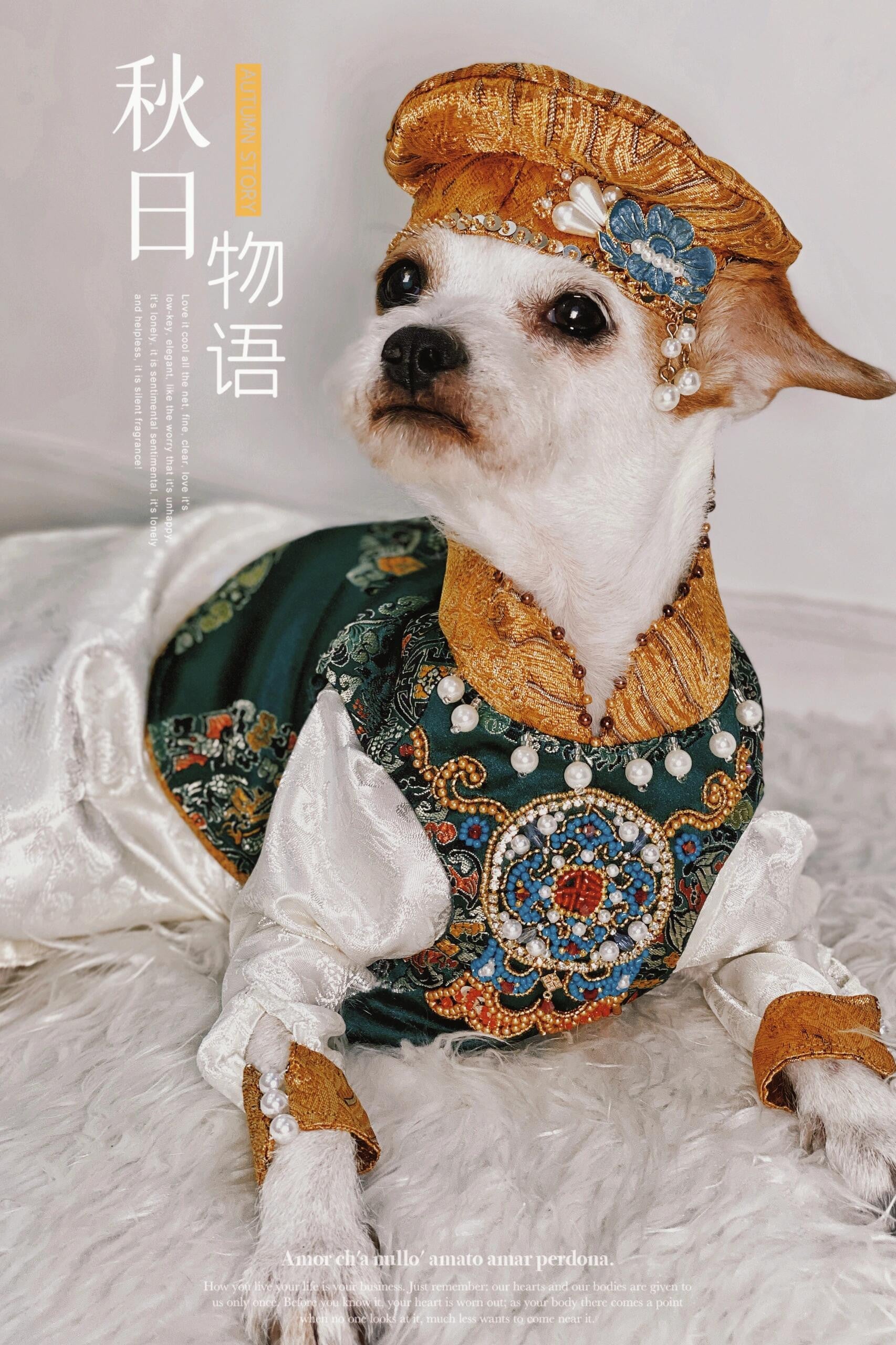 Luxurious Handmade Dark Green Corduroy Dog Dress for Haute Couture Pets | Markpet Luxurious Handmade Dark Green Corduroy Dog Dress for Haute Couture Pets | Markpet
