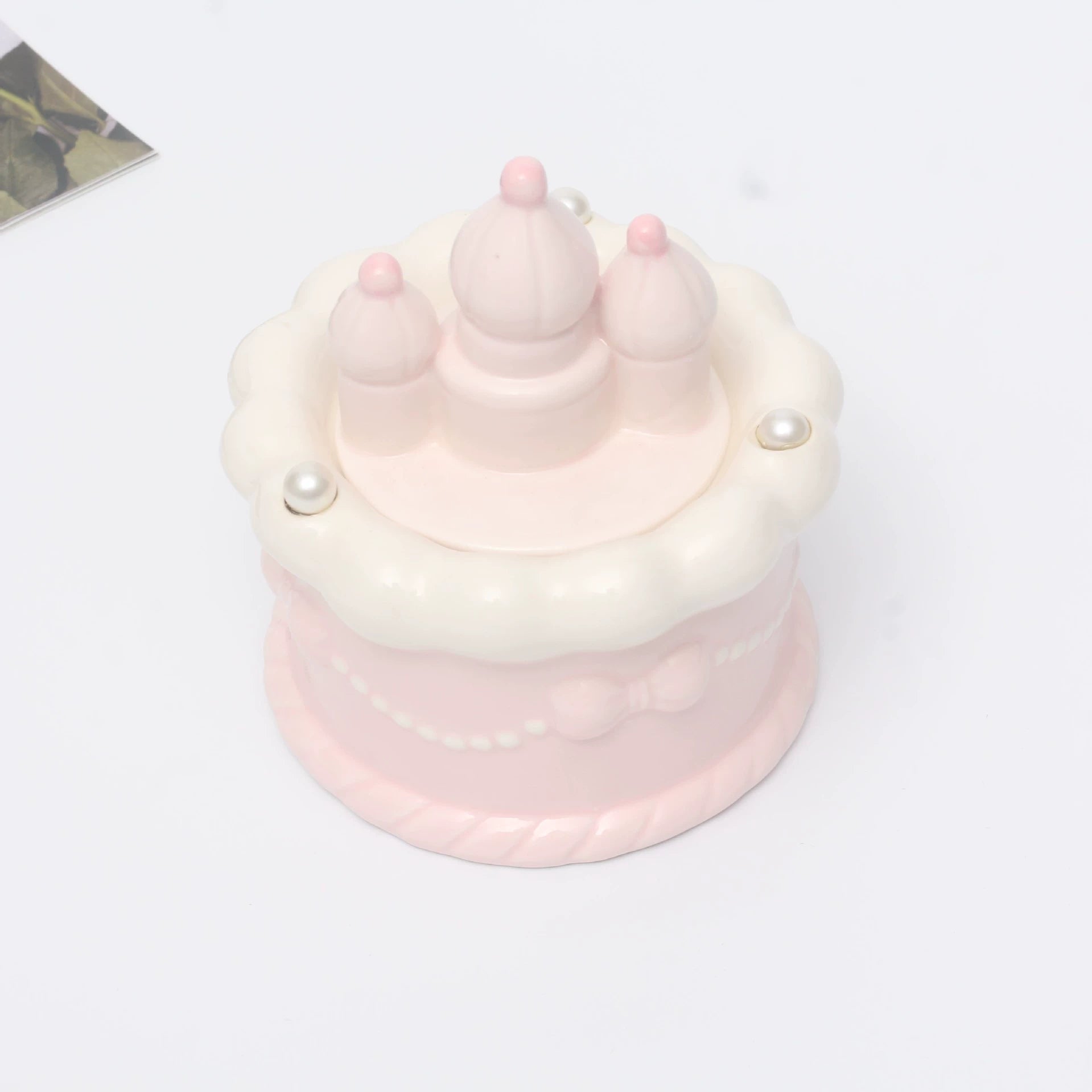 Pink Ceramic Round Pet Cremation Urn provides a secure and elegant way to store cat or dog ashes. With a smooth round design, soft pastel pink color, and durable ceramic craftsmanship, it’s perfect for home memorial display while keeping your pet’s memory safe and close.