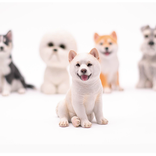 A collection of small dog models featuring a Husky, Shiba Inu, Schnauzer, and Bichon. Each model captures the lifelike details and distinct characteristics of these beloved dog breeds, making them perfect for dog lovers and collectors.