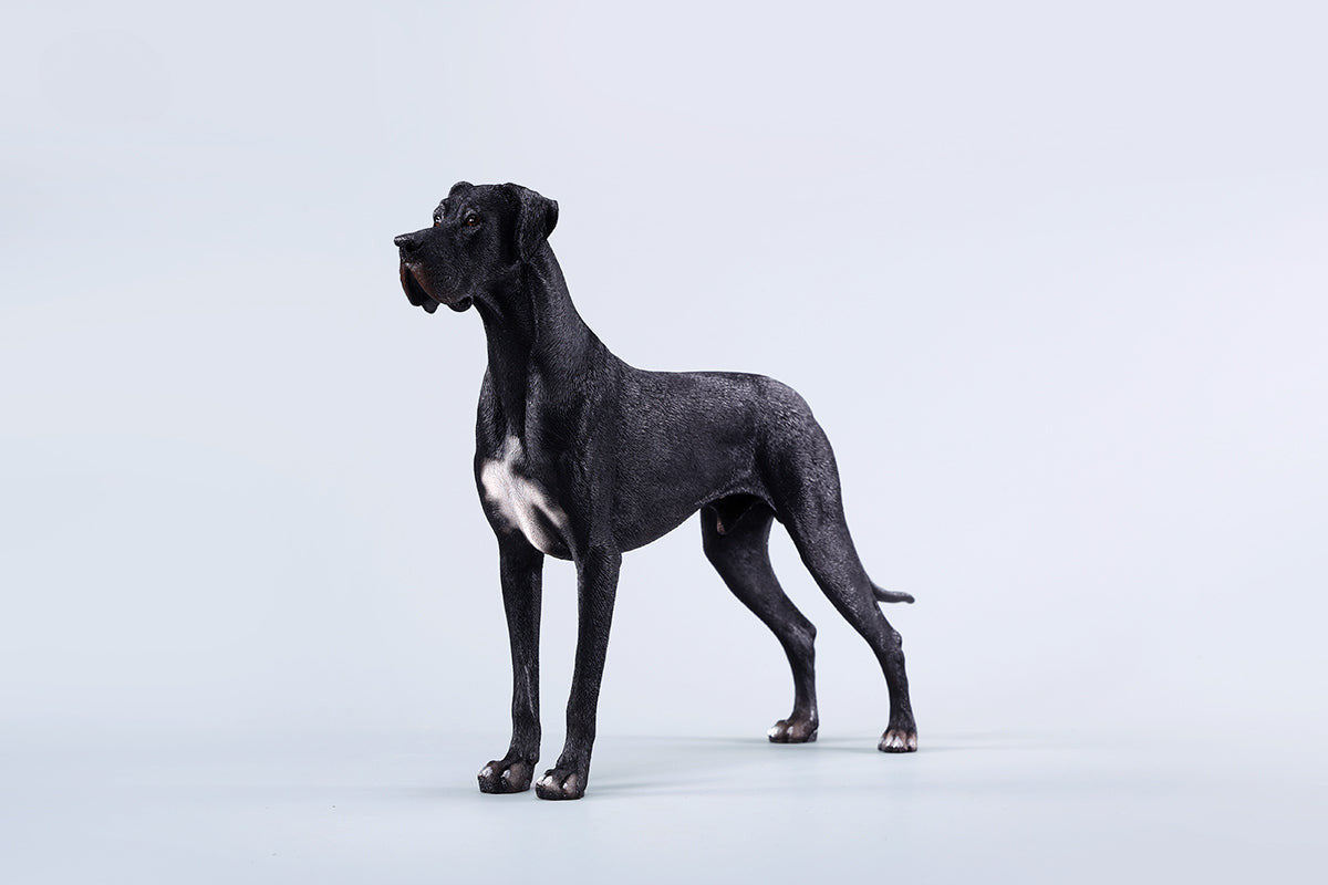 pre sale 1/6 Great Dane Model - Majestic Dog Figurine Collection.