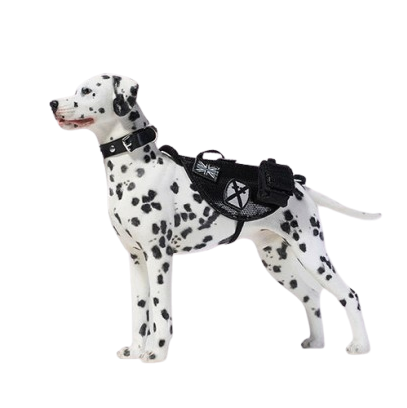 "1/6 scale Dalmatian dog simulation model with realistic features, including a detachable head, accessories, and a small pup figure."