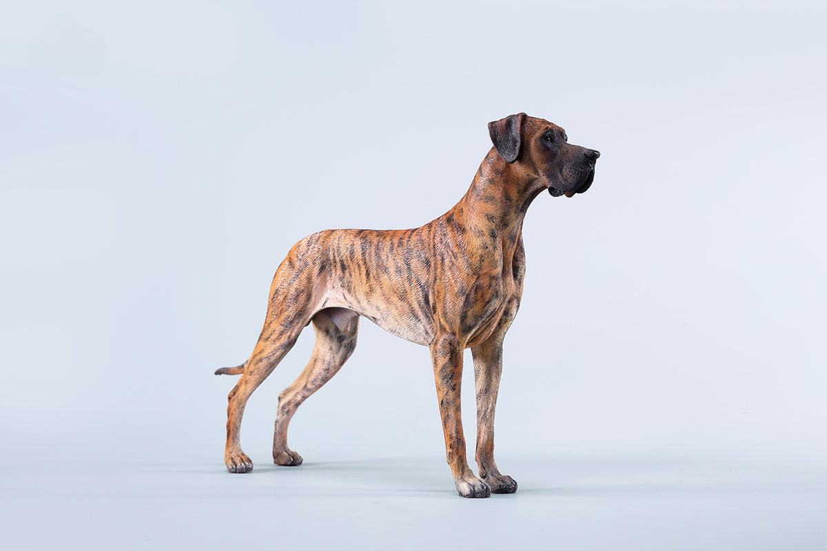 pre sale 1/6 Great Dane Model - Majestic Dog Figurine Collection.