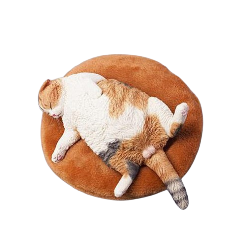 A highly detailed 1/6 scale resin model of an orange cat peacefully curled up on a fluffy white cushion. This simulation captures the cat's lifelike texture and serene demeanor, making it an exquisite collectible.